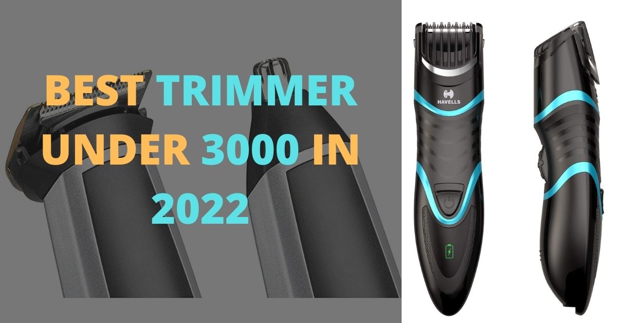 best trimmer under 3000